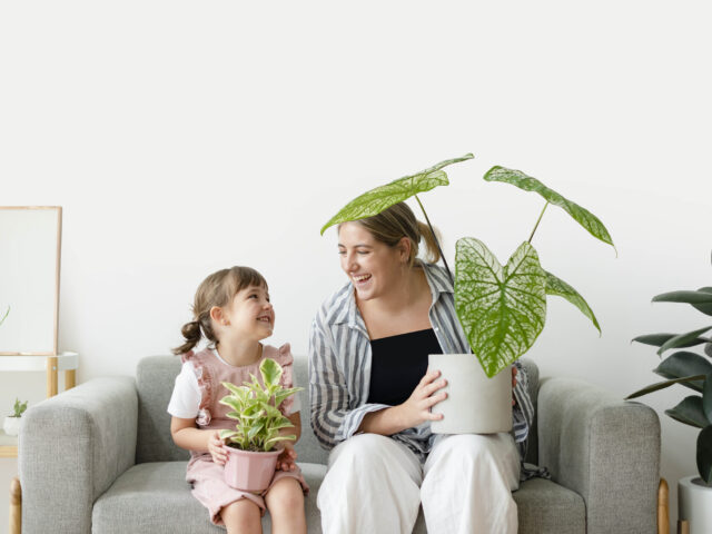 DYO OXYMAX Türkiye’de Çevre Etiketi Alan İlk İç Cephe Boyası Oldu