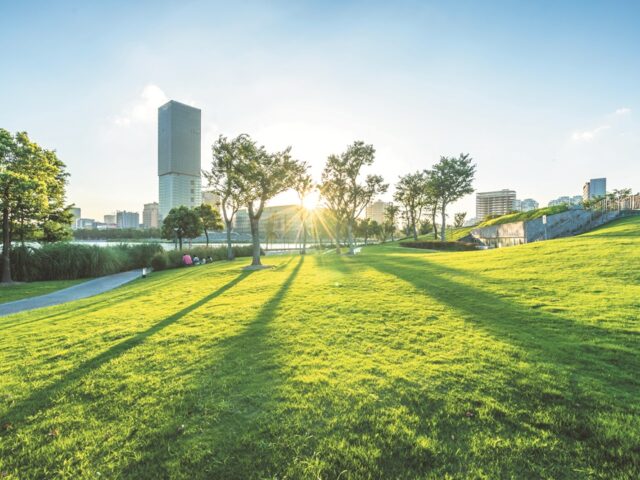 Legrand Türkiye Grubu, Enerji Verimliliği Odaklı Akıllı Çözümlerle Sürdürülebilir Geleceğe Değer Katıyor